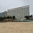 이창농장 | 대천 오션뷰 호텔 추천 @파레브