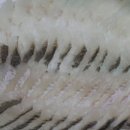 포항횟집 이미지