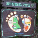 용호중학교 | 당정근린공원 > 안양컨트리클럽 군포 골프장 둘레길 산책