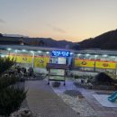 가야산가든 | 경북 성주 맛집 가야산가든 포천계곡 근처 꿩탕, 닭도리탕 맛집