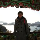 산양일주도로가로수 이미지