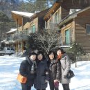 가리왕산 휴양림 이미지