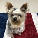 화순성심병원 이미지