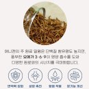 애니캔 고양이 습식 사료 리뷰 밀웜 슈퍼푸드 기호성