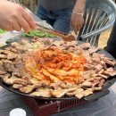 👩‍🌾직장인 주말농장 한 달차! 직접 수확한 채소와 삼겹살 파티 후기🍖 [5월 추천 작물까지]