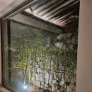 스테이담장 이미지