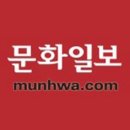 재정분식 이미지