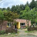 푸른숲어린이집 이미지