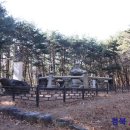 영천 치일리 인종태실 이미지