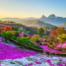 장미동산(우) 이미지