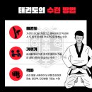 효자¡태권도 이미지
