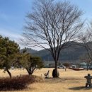 비룡농원 이미지