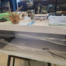 동탄대로21가길 | 기다리던 그날, 소중히 모셔오다 .. 파충류 분양 후기