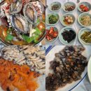 전라도해물탕 | 해남 땅끝마을 여객선 모노레일 맛집 땅끝해물탕횟집 내돈내산 후기