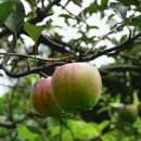 구암농장 이미지