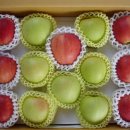 사과시험장 앞 이미지