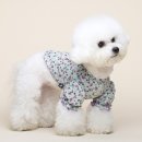 민트파파 이미지