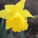 이시돌쉼터 이미지