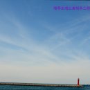 제주도 게스트하우스 친절한경배씨 이미지