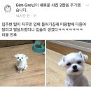 제니627