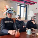 황금밥집 이미지