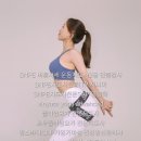 JA바디홀릭