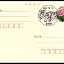봉화명호송이