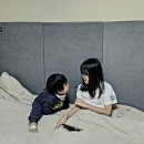 호현목장 Daum카페