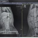 준 동물병원 이미지