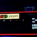 신호등포차 이미지