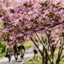 서산터널 화장실 이미지