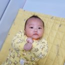 베베스쿨어린이집 이미지