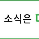 새안렌탈 네이버블로그