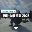 명곡 낚시터 | 평창 송어축제2026 얼음낚시 입장료 낚시대 가격 먹거리 평일 방문 후기