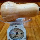 땅콩호박 3kg [조성숙(팔봉농원)님) 이미지