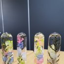 창의력 놀이아트 이미지