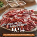 보리소