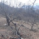 새밤농장 이미지