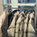 58 | [공지] 노스페이스프로젝트 다운자켓NJ1DR58L(90) 브라우니 후기 구매처 가격 할인 정보