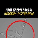 뇌의 구조와 기능은 평생에 걸쳐 변화할 수 있다 이미지