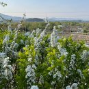 저수지상회 이미지