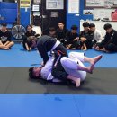 씨블루