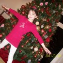 복실강아지 이미지