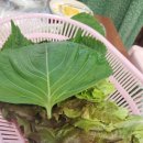 하동갈비 - 하남시 | 하동갈비