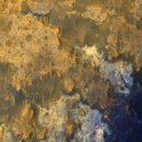 큐리오시티 이미지