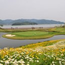 다산베아채 골프앤리조트 이미지