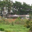 시목회관앞 이미지