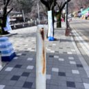 동학사매표소 앞 주차장 화장실 이미지