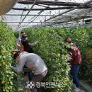 오포리농장 이미지