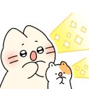 프라비제 이미지